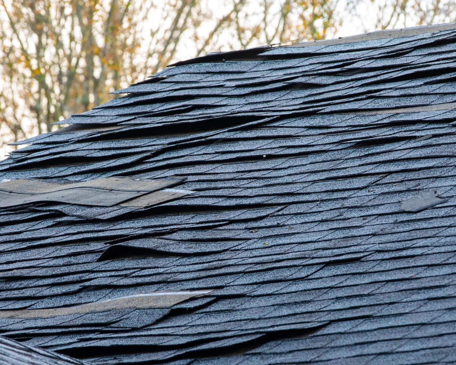 Lifted and damaged shingles following strong winds